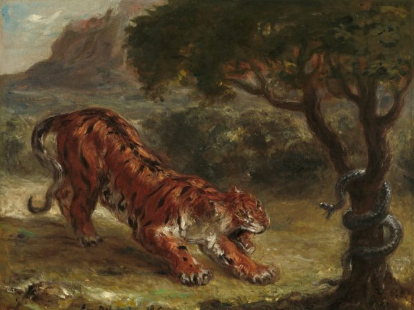 Tiger and Snake