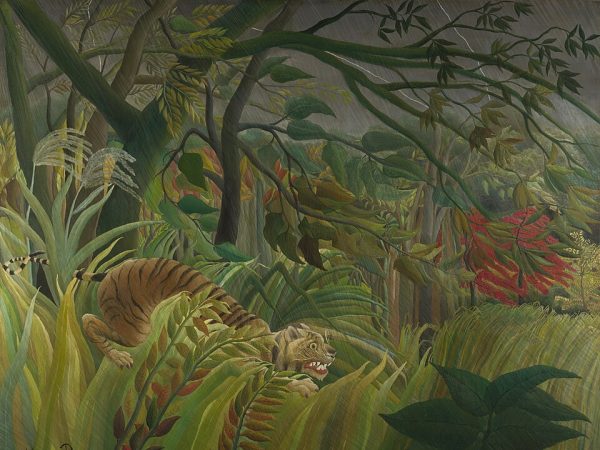 Tiger in a Tropical Storm (Surprised!)