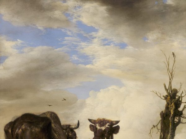 Two Cows and a Young Bull beside a Fence in a Meadow