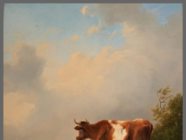 Vache et moutons au pâturage
