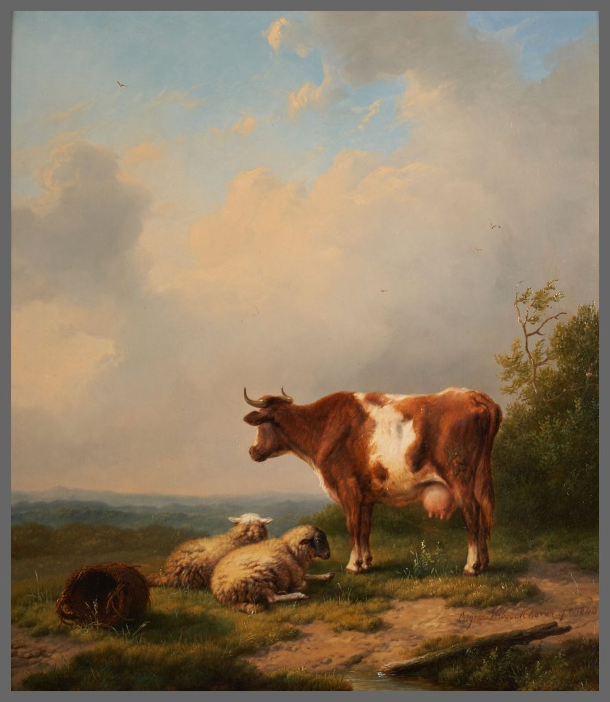 Vache et moutons au pâturage
