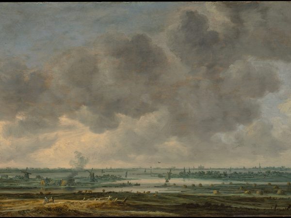 view-of-haarlem-and-the-haarlemmer-meer