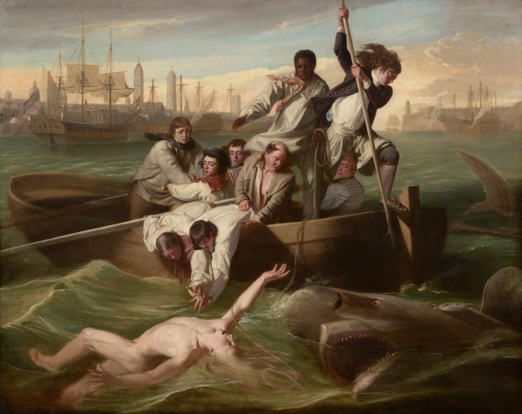 Watson and the Shark