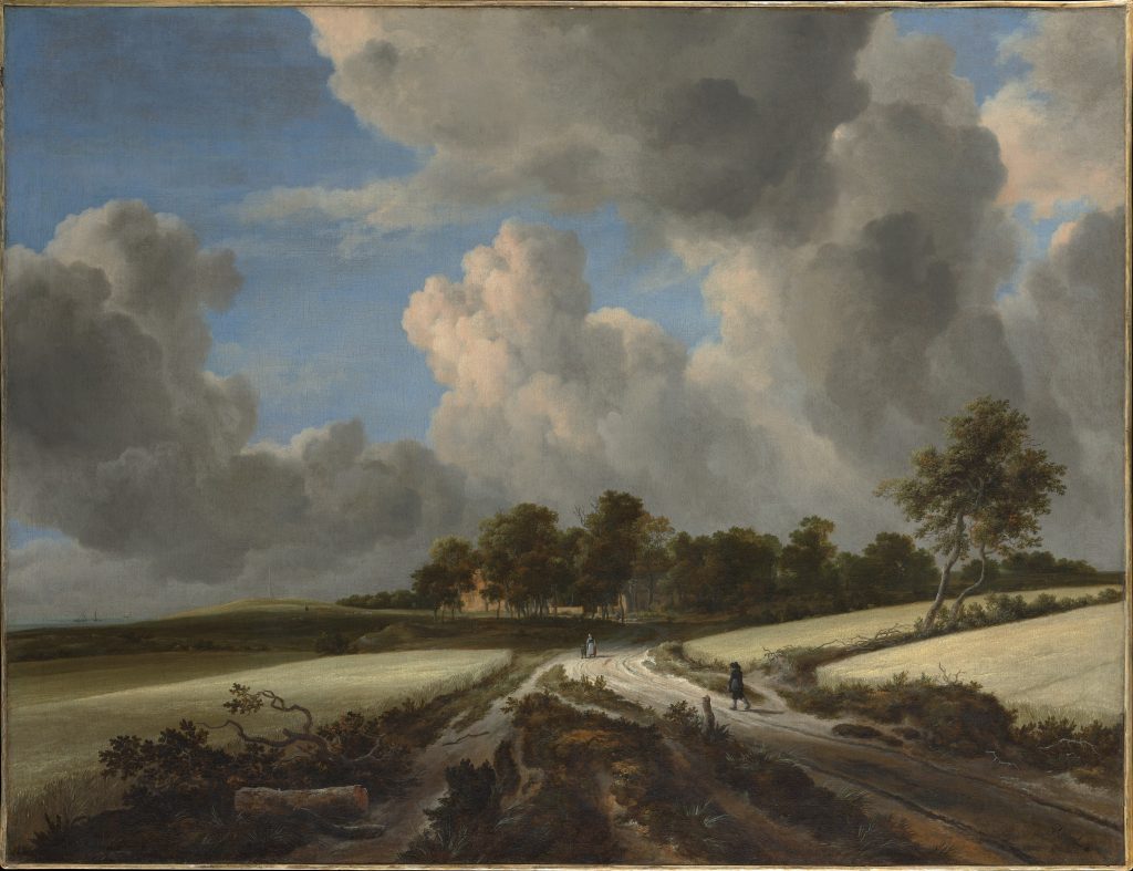 Wheat Fields