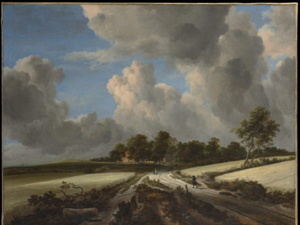 wheat-fields