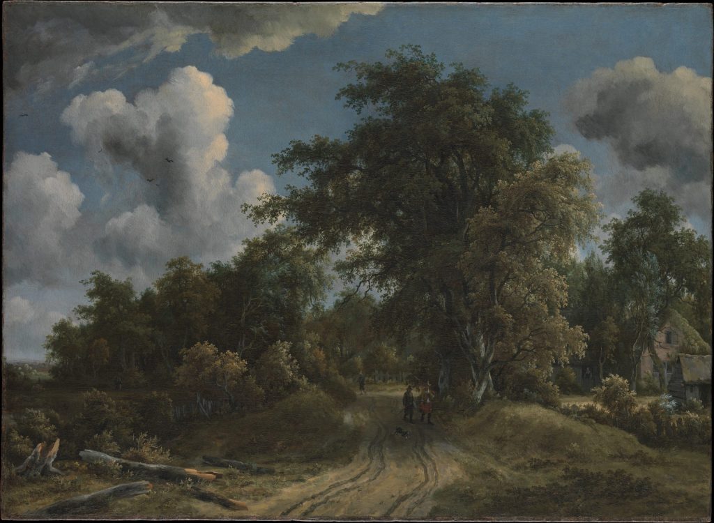 woodland-road