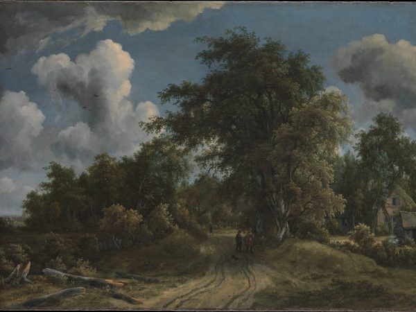 woodland-road